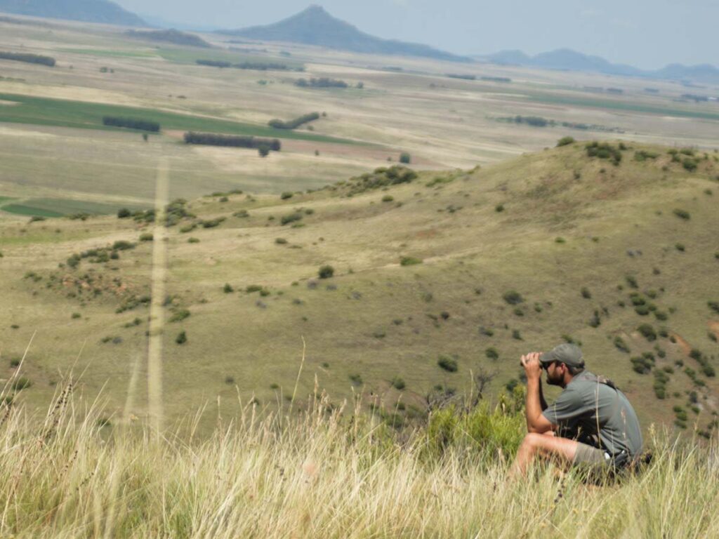 Ndloti PH Jaques Jordaan glasses spurs and valleys for the herd.