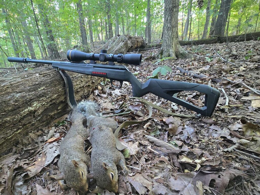 Shotguns, rifles, even bows, all are apt tools of the squirrel hunter’s trade. Better yet, it’s a great quarry to take out an old family heirloom you’d be worried to tote into the field on a more rugged hunt.