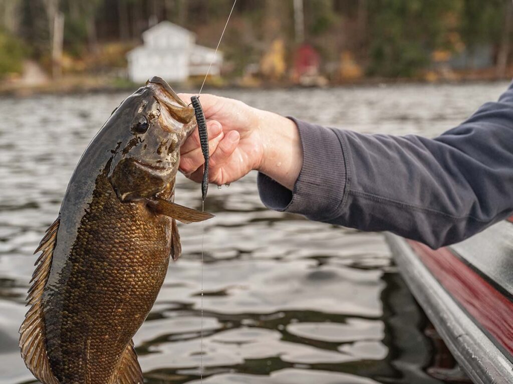 Berkley MaxScent Flat Worm