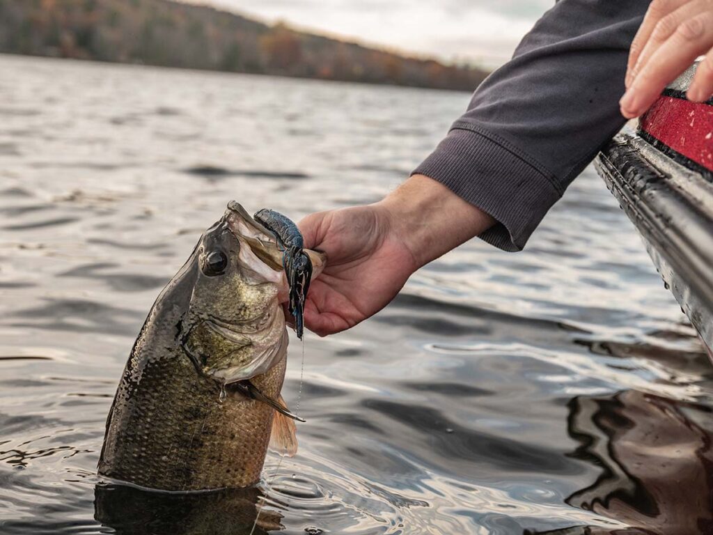 Z-Man Jackhammer Chatterbait